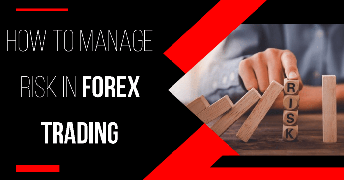 Trading forex fx overlook