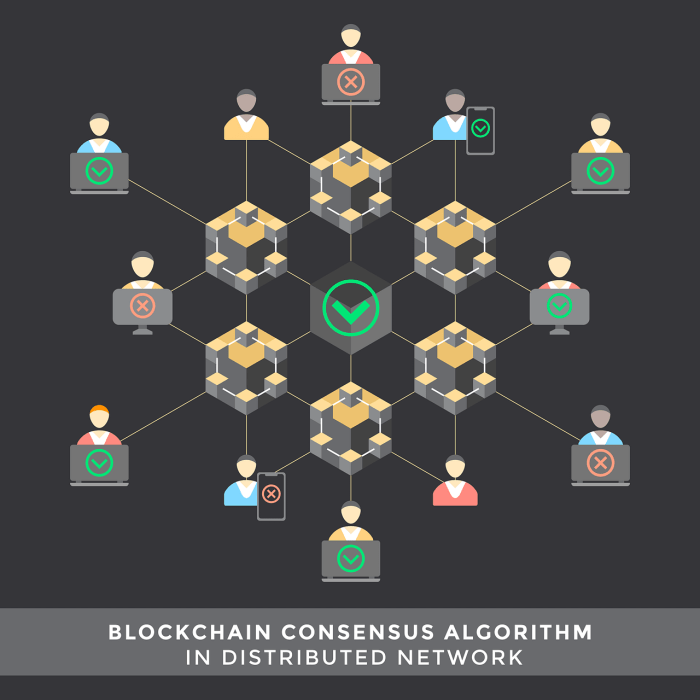 Understanding the concept of blockchain consensus algorithms.