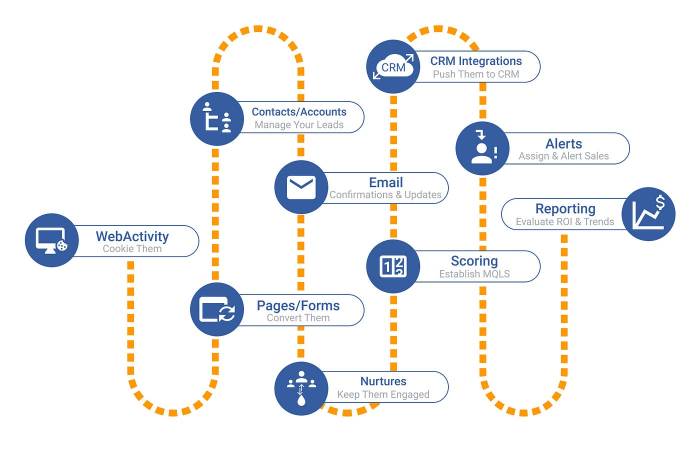 Marketing digital automation trends boost business