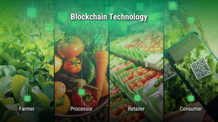 Blockchain food technology industry traceability