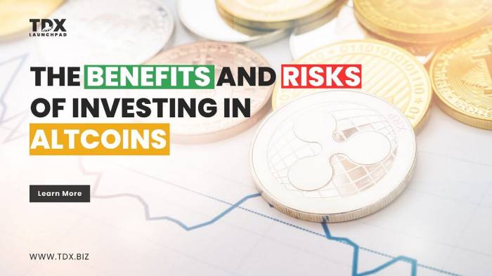 Understanding the risks and rewards of investing in altcoins.