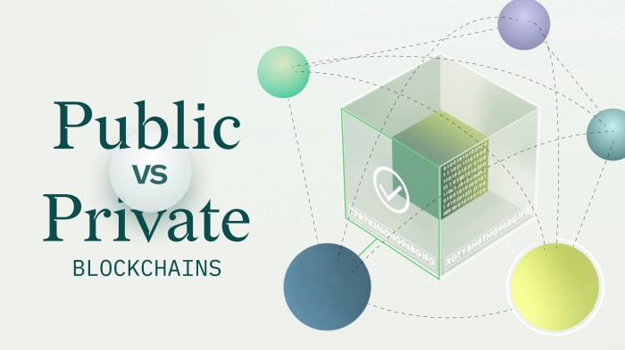 Blockchain private blockchains