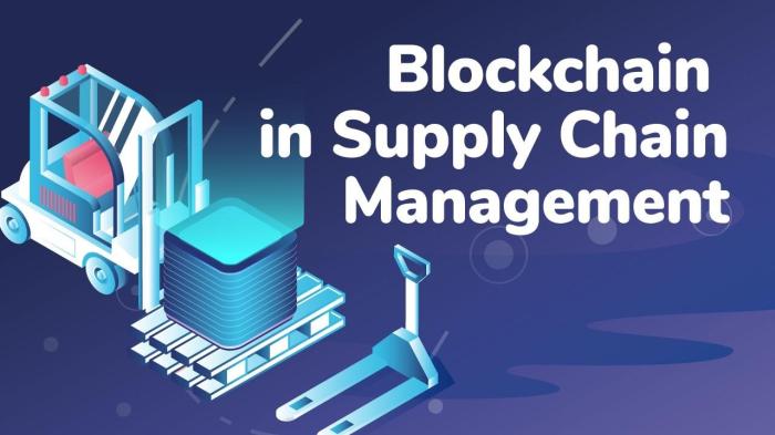 Blockchain supply chains future immutable single sourcerer