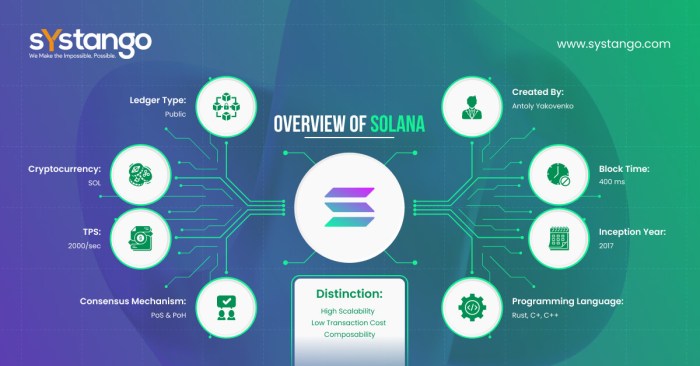 How does Solana blockchain technology compare to other platforms?