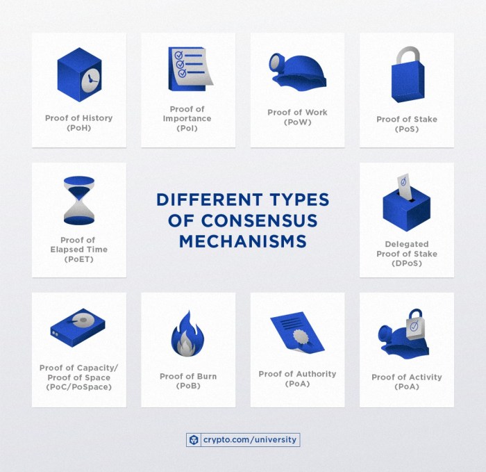 What are the different types of consensus mechanisms used in blockchain technology?