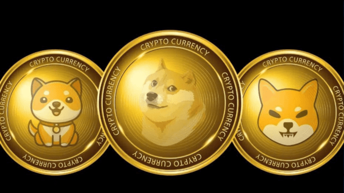 Understanding the risks of investing in Dogecoin and other meme coins.