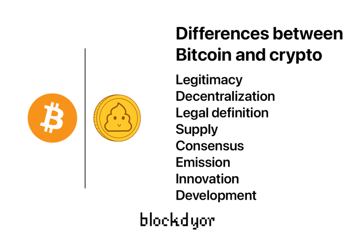 What are the key differences between Bitcoin and other cryptocurrencies?