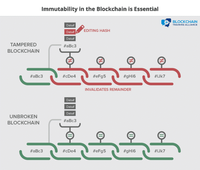 Understanding the concept of blockchain immutability and its implications.