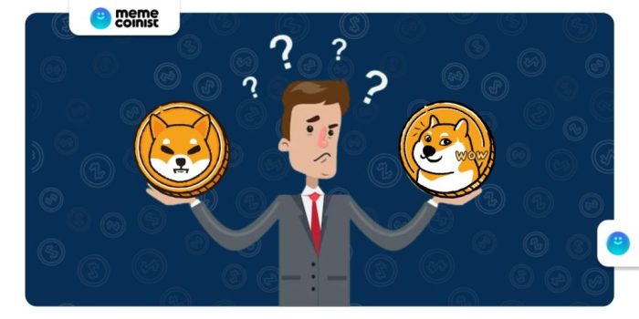 Understanding the risks of investing in Dogecoin and other meme coins.