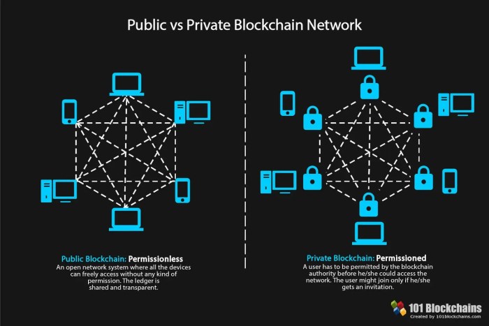 Blockchain public private vs comparison direct newbies guides