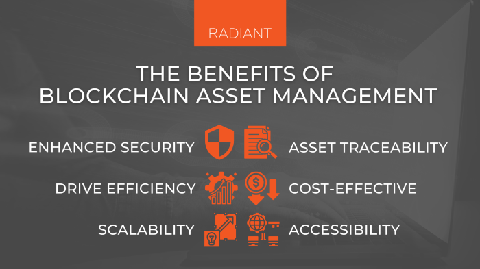 Assets digital blockchain