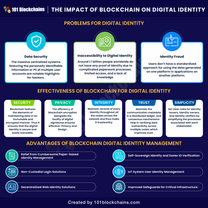 Blockchain identity digital data solutions ledger related information