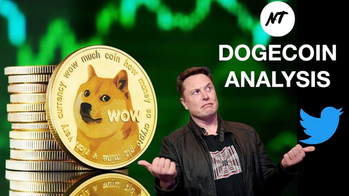 Analyzing the market capitalization and price volatility of Dogecoin.