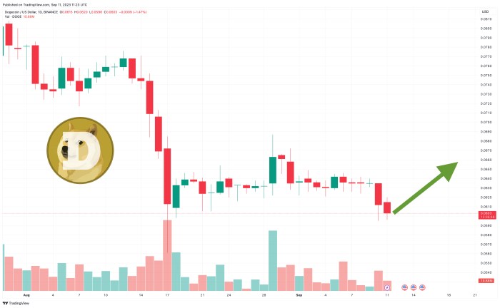 Analyzing the market capitalization and price volatility of Dogecoin.