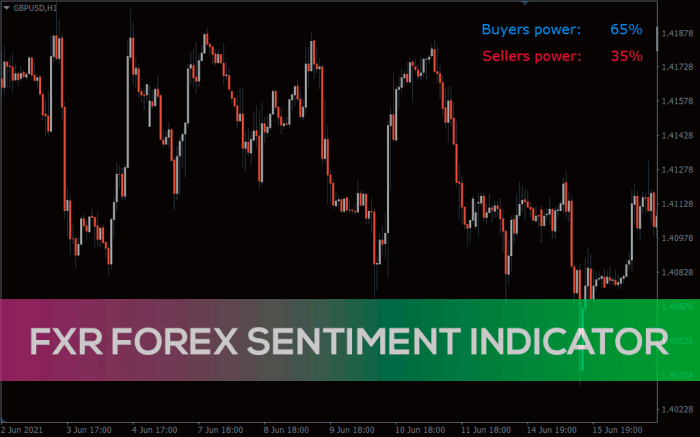 Market sentiment forex analysis reversals