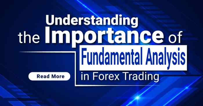 Fundamental forex understanding skillshare