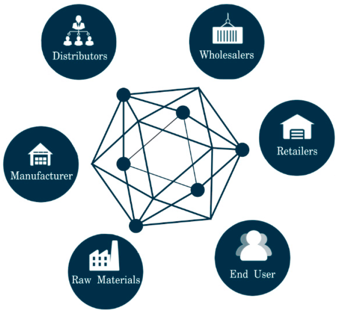 Exploring the use of blockchain technology in digital asset management.