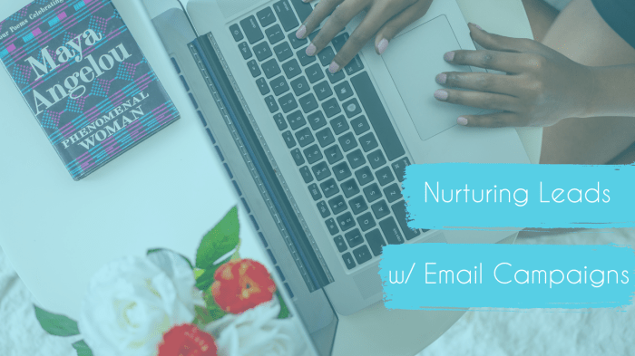 Nurturing mailoptin