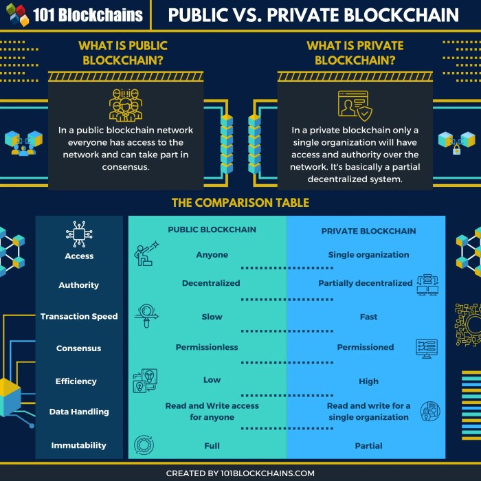 What are the key differences between public and private blockchains?