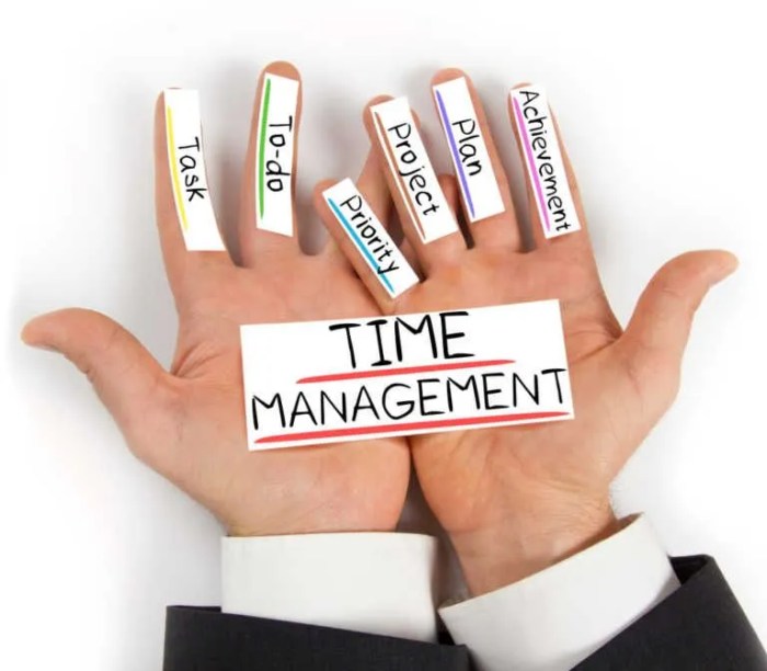 Time effectively manage timecamp