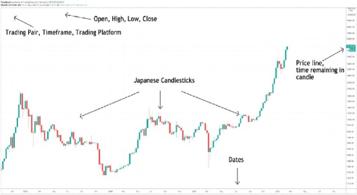 How to understand and interpret cryptocurrency charts.