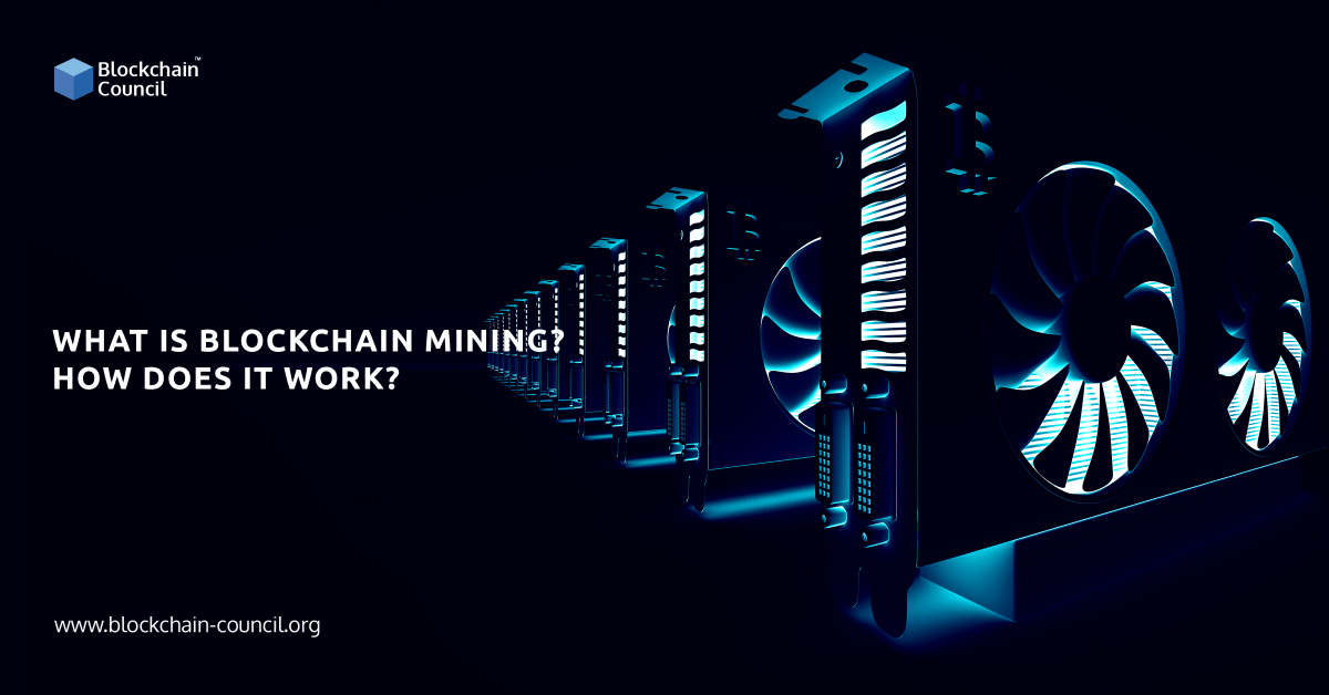 Understanding the role of miners in maintaining the security of blockchain networks.